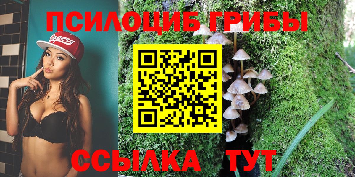 Псилоцибиновые грибы ЛСД  Вход с VPN  Карталы 