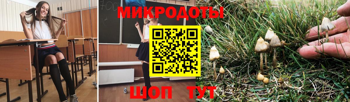 Псилоцибиновые грибы Psilocybe Карталы